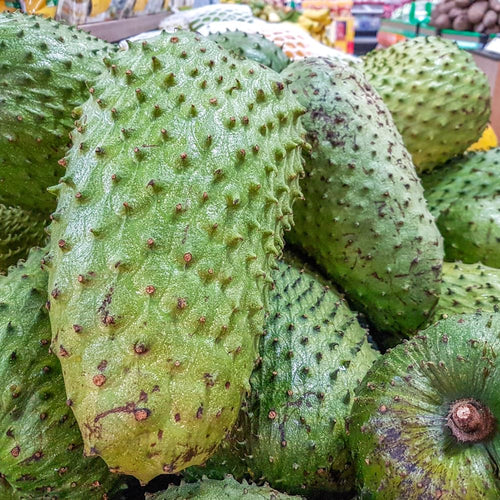 Soursop Tree Live Plant, Annona Muricata Sweet Plant, Soursop Guanabana Plant 4 Inc Pot Home Orchard