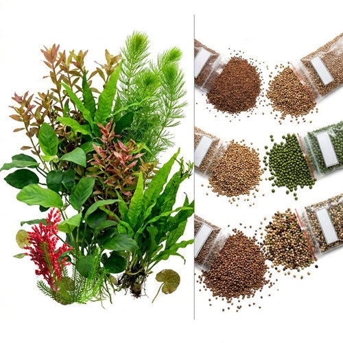 200 Mix Aquarium Grass Seeds for Planting, Aquarium Seeds, Aquatic Grass Garden