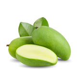 Green Sweet Mango Tree Live, 2 Feet Tall Mango Plant Live in Pot, Tropical Fruit Tree