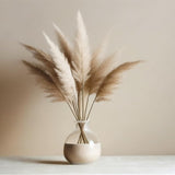 3 Mix Pampas Grass Plants Live, Hardy Ornamental Grass, Ready to Grow Pampas 4-8 Inches for Borders, Patios and Container Gardens