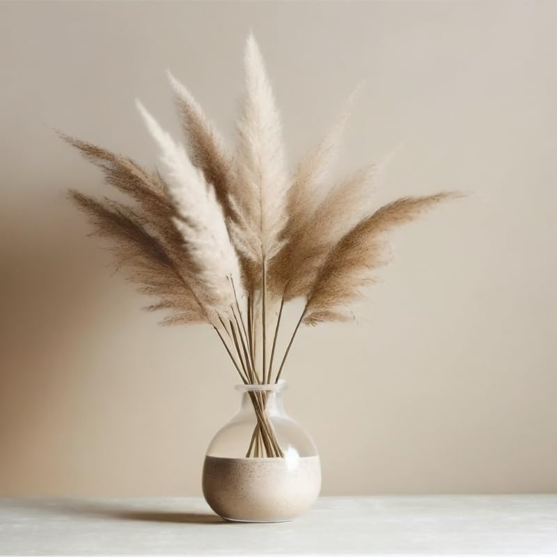 3 Mix Pampas Grass Plants Live, Hardy Ornamental Grass, Ready to Grow Pampas 4-8 Inches for Borders, Patios and Container Gardens
