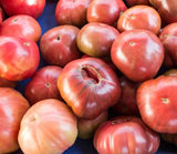 Lot 4 Tomato Plants Live for Planting Outdoors, Large and Juicy Tomatoes, Well Rooted, 6 to 8 Inch - Brandywine Pink