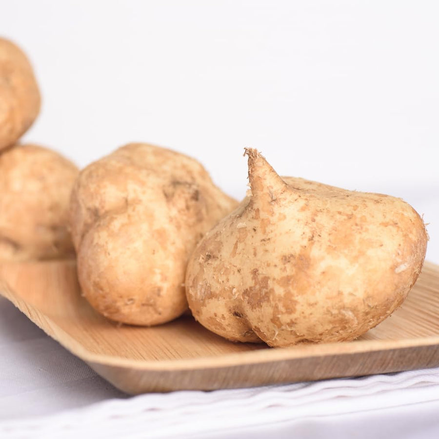 96 Jicama Seeds for Planting, Heirloom Jicama Seed, Strong Climbing Plant, Vegetable Garden
