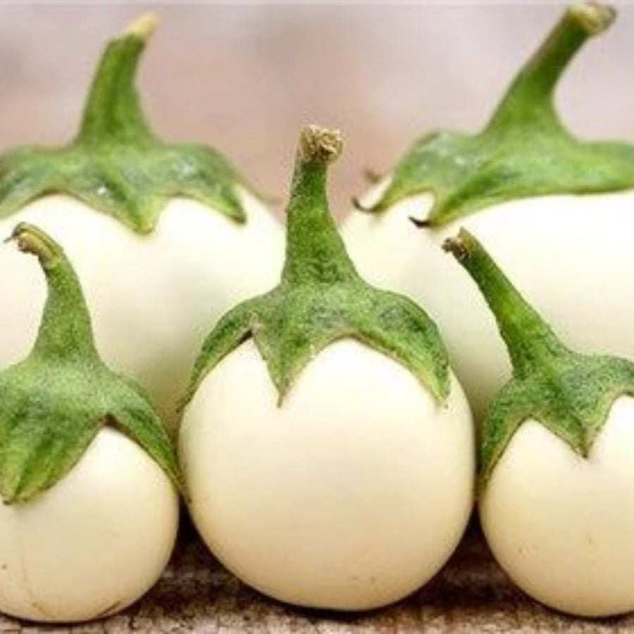 Pack of 100 White Round Eggplant Seeds for Planting, Assorted Eggplant Vegetable Seeds for Outdoor Gardening, Suitable for Home Garden Beds, Raised Beds, or Containers