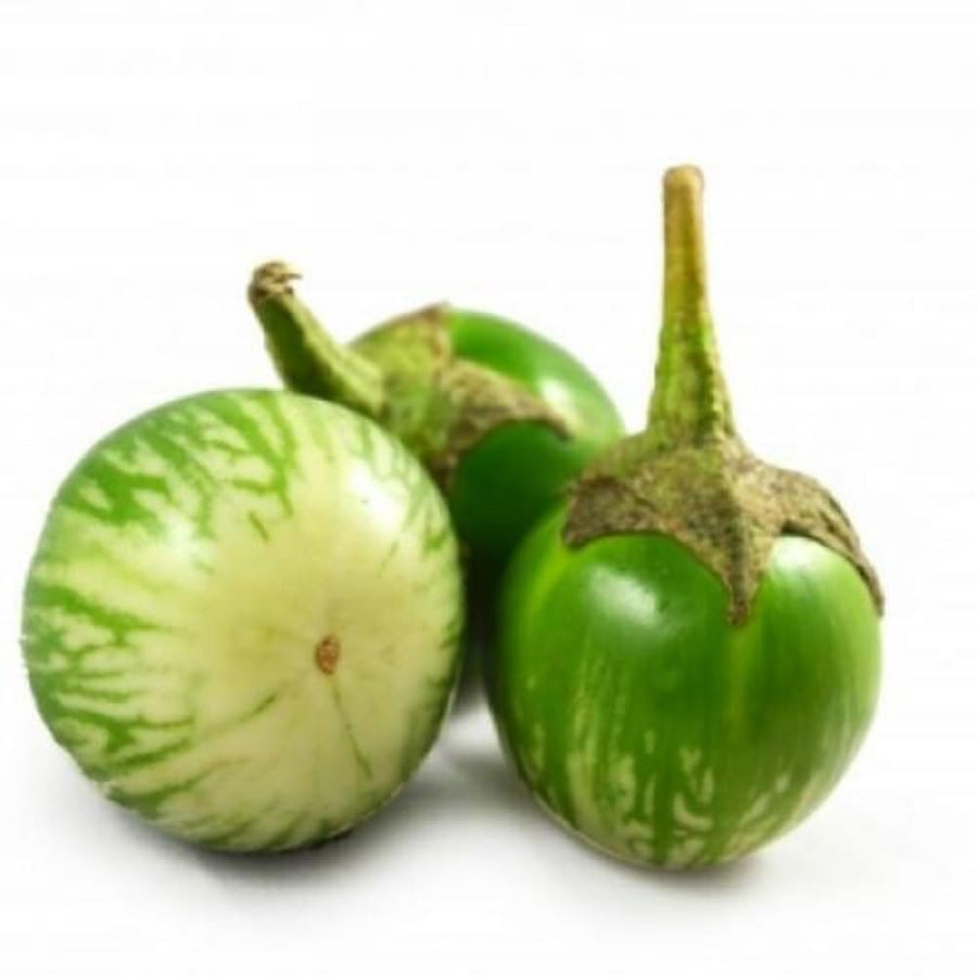 Pack of 100 Green Round Eggplant Seeds for Planting, Assorted Eggplant Vegetable Seeds for Outdoor Gardening, Suitable for Home Garden Beds, Raised Beds, or Containers