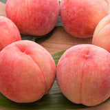 Sweet Red Color Peach Tree Live Plant, 12-18" in Tall, Cold Hardy in Gallon Pot for Planting, Outside Planting, No CA