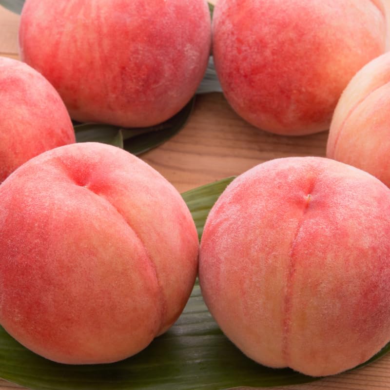 Sweet Red Color Peach Tree Live Plant, 12-18" in Tall, Cold Hardy in Gallon Pot for Planting, Outside Planting, No CA
