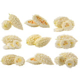 20 Bitter Melon Seeds for Planting, White Bitter Gourd Vegetable Seeds for Home Garden, Vegetable Vine Plants Seed