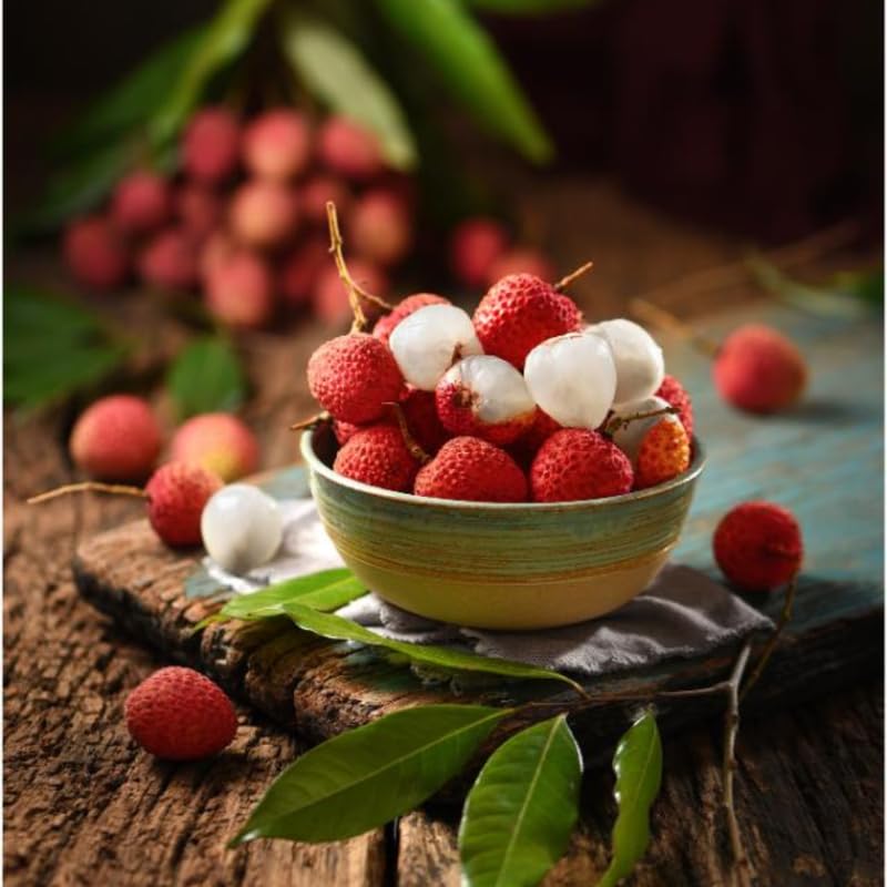 Lychee Tree Live Plant 10-12 Inch Tall, Sweet Lychee Plant Live, Tropical Litchi Fruit Tree, in Half Gallon Pot