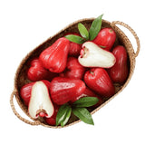 Wax Apple Live Fruit Tree, 3-4 Feet Tall Tropical Apple Tree Live Plant Ready to Grow