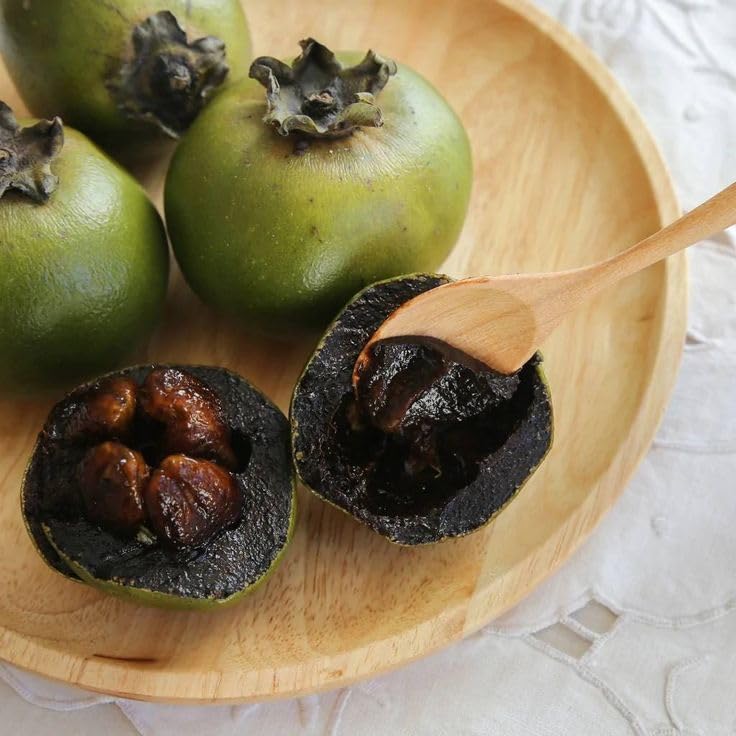 Live Black Sapote Tree 3 Feet Tall, Air-Layered Chocolate Sapote Fruit Tree, Sweet, Cold Hardy, Container and Garden Growing