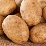 2 Pounds Russet Seed Potatoes for Planting, Heirloom, Vegetable Plant High Yields Potato Seeds Live Tuber Bulbs