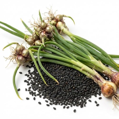 100 Egyptian Walking Onion Seeds for Planting, 100 Count Hardy Perennial Onion Herb Seeds for Outdoor Garden Growing