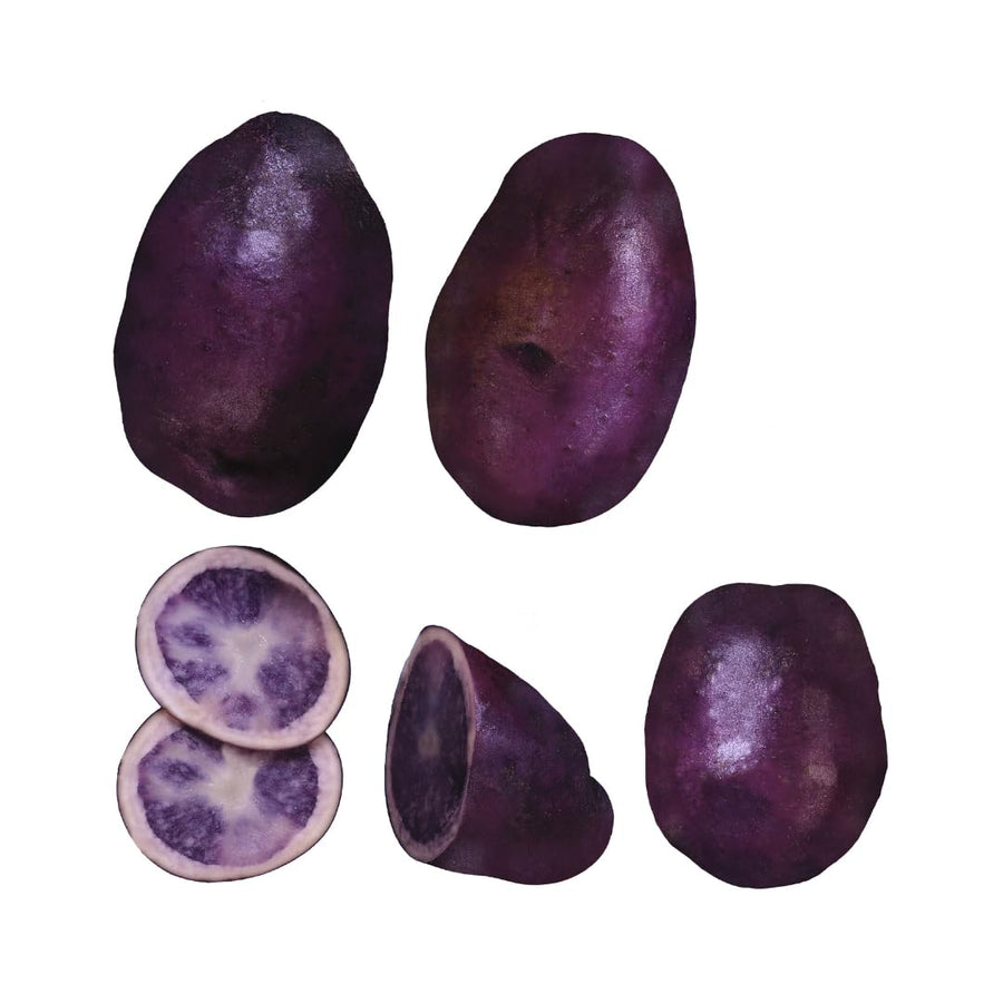 2 Lbs Purple Potato Tubers High Yielding for Outdoor Planting, Vegetables Potatoes Plants Bulbs Seeds, Heirloom Seed Potato Live Tuber