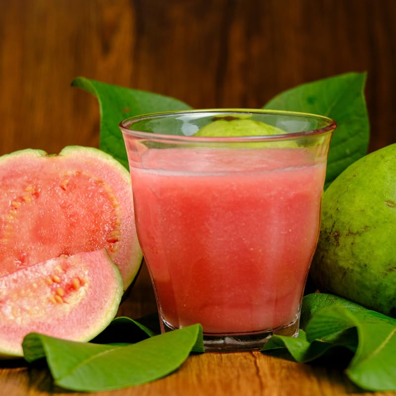 Set 2 Sweet Pink Guava Trees Plants Live, Pink Guava Seedlings Tree Fruit Plant, 4 to 9 Inc Tall, Pink Guava Plants