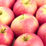 Cold Hardy Apple Tree Live Plant, Apple Fruit Plant Bare Root for Backyard Orchard, 2 to 3 Feet Tall, Easy to Plant