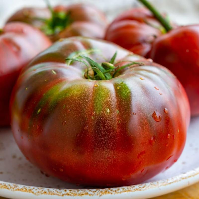 Lot 4 Tomato Plants Live for Planting Outdoors, Large and Juicy Tomatoes, Well Rooted, 6 to 8 Inch - Black Krim Tomato