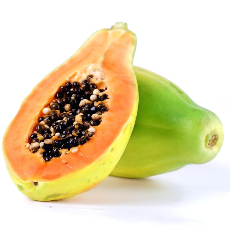 Dwarf Papaya Plant Live, 10-12" Tall Tropical Fruit Tree in Half-Gallon Pot, Fast Growing for Container or Garden