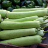 Set 25 Bottle Gourd Seeds for Planting, Green Vegetable Seed for Edible Garden, Long Melon Climbing Vine
