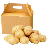 2 Pounds Yukon Gold Seed Potatoes for Planting, Heirloom, High Yields Potato Seeds Tubers Bulbs Vegetable Live Plants