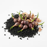 Pack of 150 Walking Onion Seeds for Planting, Walking Onion Seeds, Perennial Onion Seed, Easy Care Edible Plant for Container and Outdoor Garden