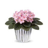 Light Pink African Violets Live Plant in 4" Pot, Starter African Violet for HouseplantIndoor Outdoor Home Decor