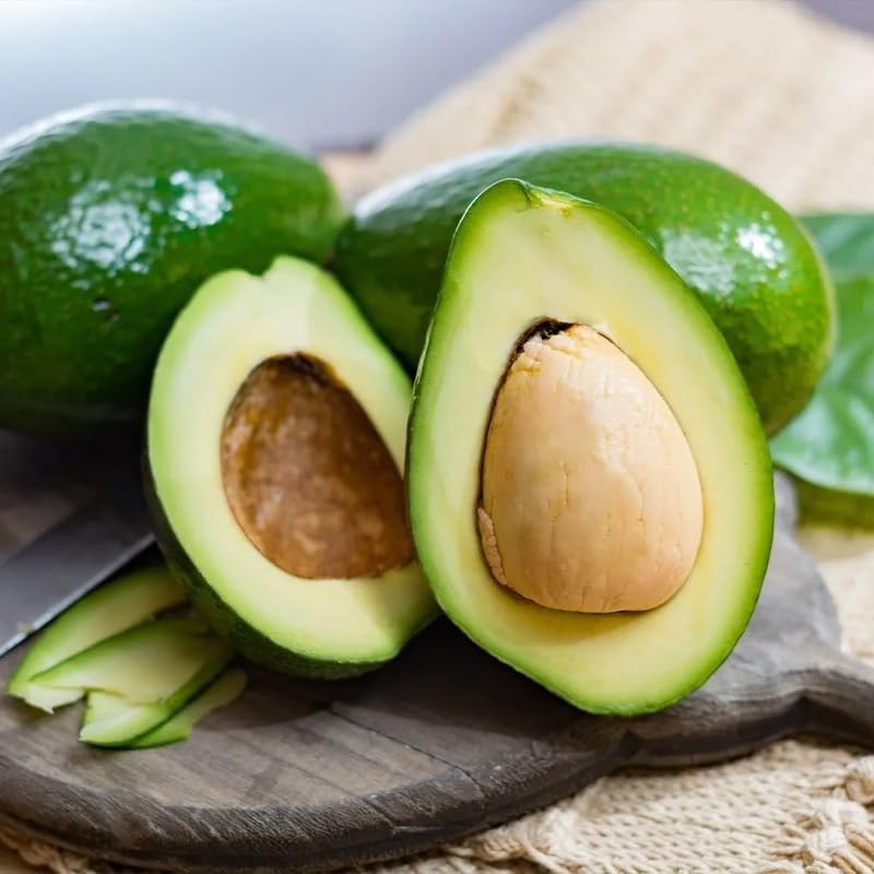 Avocado Tree Live Plant, Cold Hardy Avocado Plant Live 2-3 Feet Tall, Tropical Smooth Fruit Tree