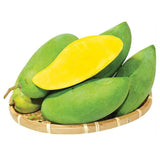 Green Sweet Mango Tree Live, 2 Feet Tall Mango Plant Live in Pot, Tropical Fruit Tree