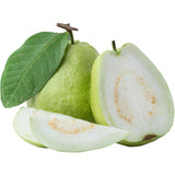 White Guava Tree Live, 8-10" Tall Tropical Fruit Tree, Sweet Guava Plant for Outdoor or Indoor Planting