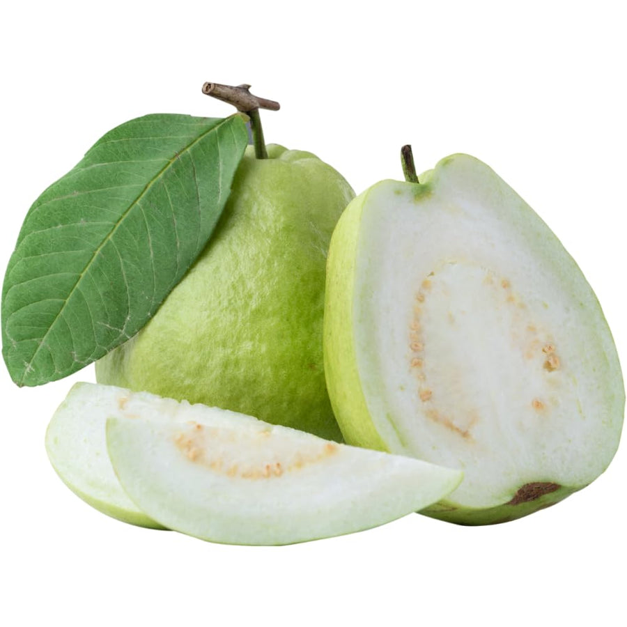 Guava Plant Live, 6-10 Inch Tall, Tropical Guava Tree in 4” Pot for Indoor or Outdoor Growing (White Guava)