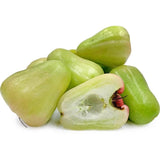 Wax Apple Live Fruit Tree, 3-4 Feet Tall Tropical Apple Tree Live Plant Ready to Grow