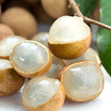 Longan Tree Live in Pot, 3 Ft Tall Grafted Longan Fruit Live Plant, Tropical Fruit Tree