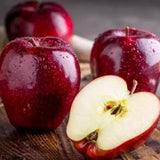 Red Apple Tree Live Plant, Cold Hardy Apple Fruit Plant Bare Root for Backyard Orchard, 2 to 3 Feet Tall