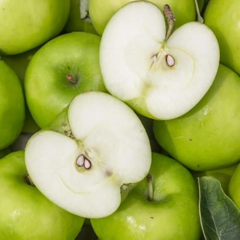 Green Apple Tree Live Plant, Sweet Apple Plant Live for Planting 2-3 Feet Tall, Gallon Pot, Live Apple Tree Plant, Apple Fruit Tree