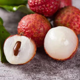 Sweet Lychee Tree Live Plant 9-12 Inch Tall, Half Gallon Pot, Sweet Lychee Plant Live, Tropical Litchi Fruit Tree