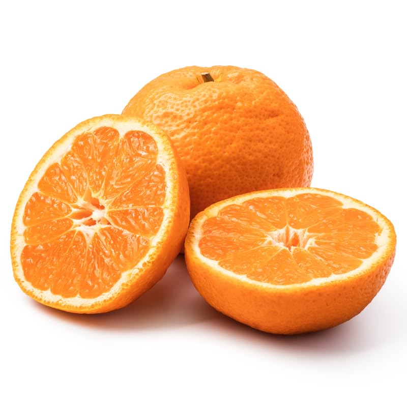 Satsuma Mandarin Orange Tree, 3 Ft Grafted Tree, Citrus Mandarin Orange, Sweet Fruits