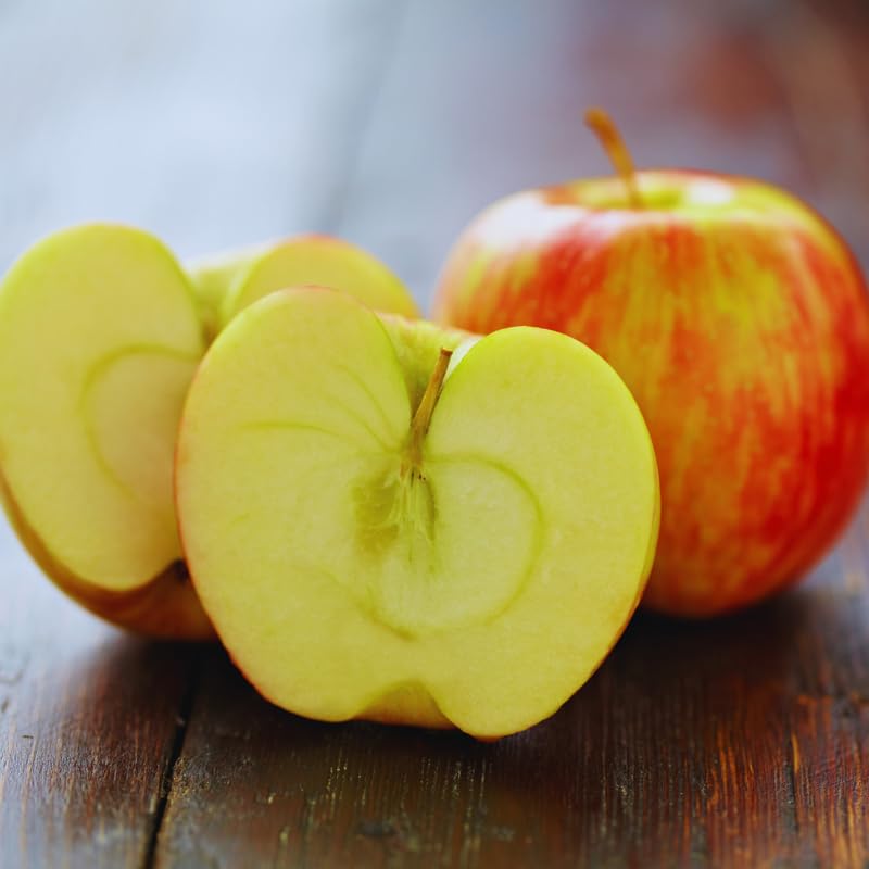 Apple Tree Live Plant, Cold Hardy Apple Fruit Plant Bare Root for Backyard Orchard, 2 to 3 Feet Long