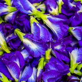 100 Butterfly Pea Seeds for Planting, Butterfly Pea Seed, Blue Flower Climbing Vine Seeds