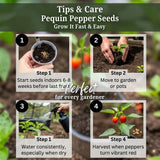150 Pequin Pepper Seeds for Planting, Chili Pequin Pepper Plant, Hot Peppers Seed, Heirloom Seeds Vegetable for Indoor Outdoor Garden
