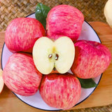 2-3 Ft Apple Tree Live Plant, Apple Fruit Plant Bare Root for Backyard Orchard Home Garden, Sweet Fruit