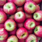 2-3 Ft Apple Tree Live Plant Bare Root, Live Apple Plant, Cold Hardy Fruit Plants for Home Garden Planting Spring (Pink)