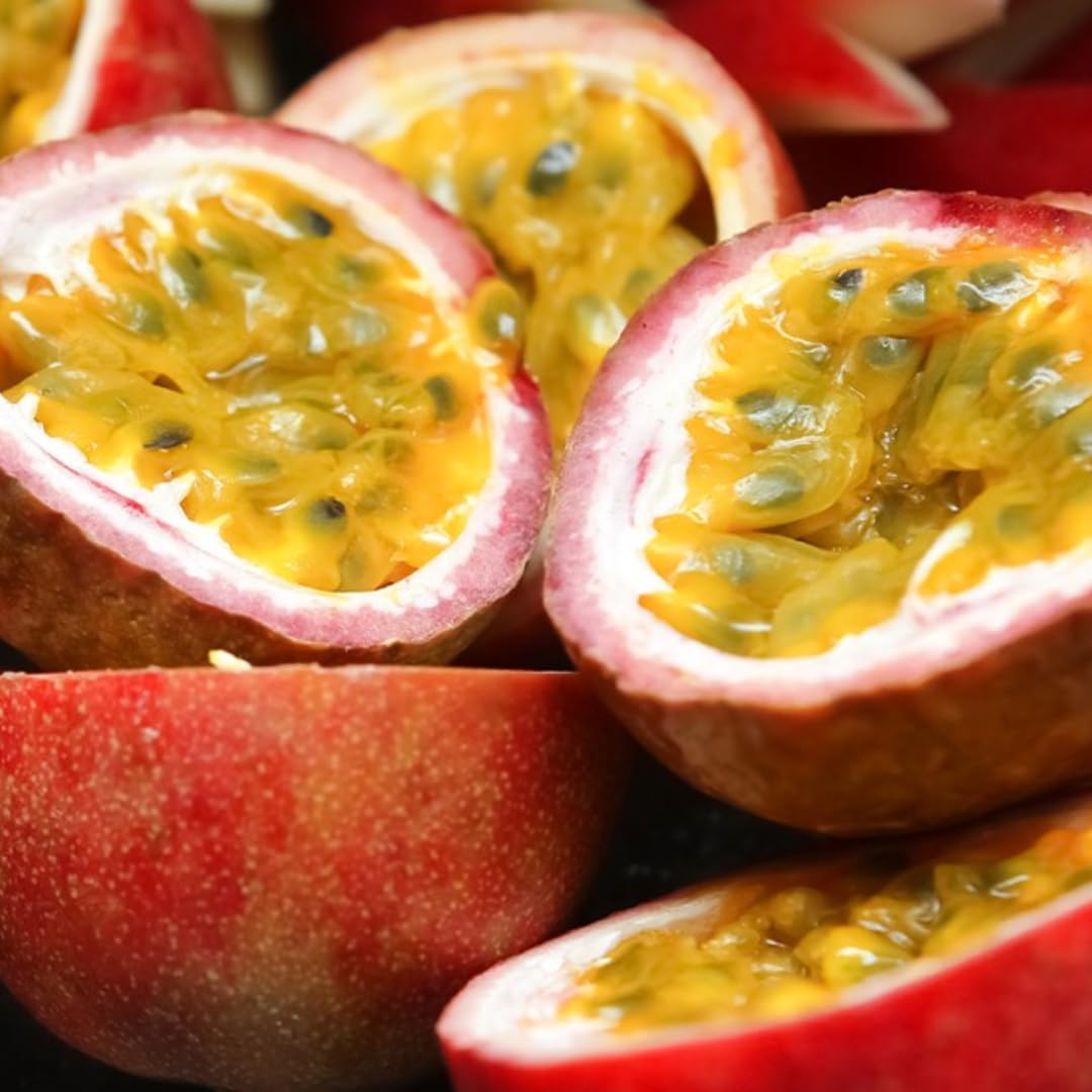 Live Passionfruit Plant Vine - 6 to 8 Inches Tall, Hardy and Fruit-Bearing, Yellow Passion Fruit Tree Live Plant, for Planting Home Gardens and Containers