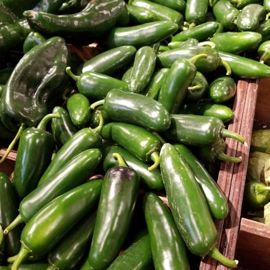 200 Jalapeno Pepper Seeds for Planting, Hot Pepper Seeds, Garden Vegetable Seed, Outdoor Growing