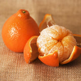 Ugli Tangelo Plant Live, Grafted Orange Tangelo Live Plant, Grafted Fruit Tree, 3 Feet Tall for Outdoor Planting