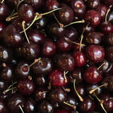 2 Wild Black Cherry Trees Live Plants, Sweet Cherry Plant Live Fruit Tree, 12-18 Inc Height, Cold Hardy Cherry Tree Plant for Planting, Bareroots Dormant