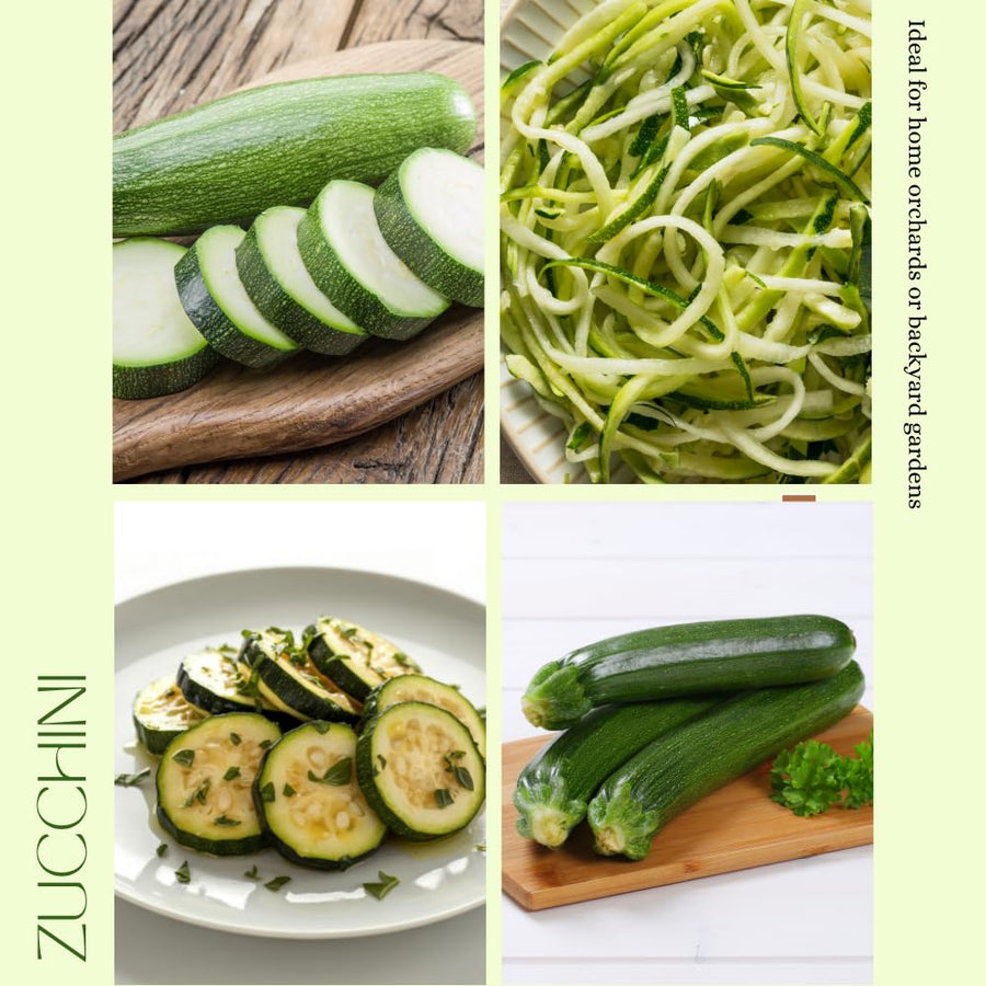Set 50 Seeds Zucchini Seeds for Planting, Dark Green Zucchini Seeds, Summer Squash Seed for Indoor Outdoor Planting