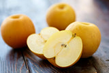 Asian Pear Tree Live Plant, Live Pear Plant Tree, 24 to 36 Inc Tall, Pear Tree Plant, Pear Live Plant, Pear Plant Tree