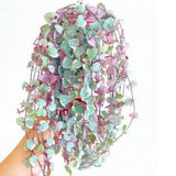 Variegated String of Hearts Live Plants, Easy Indoor Trailing Succulent in 2.5" Pot, Hanging Succulent Houseplant Indoor Outdoor Planting