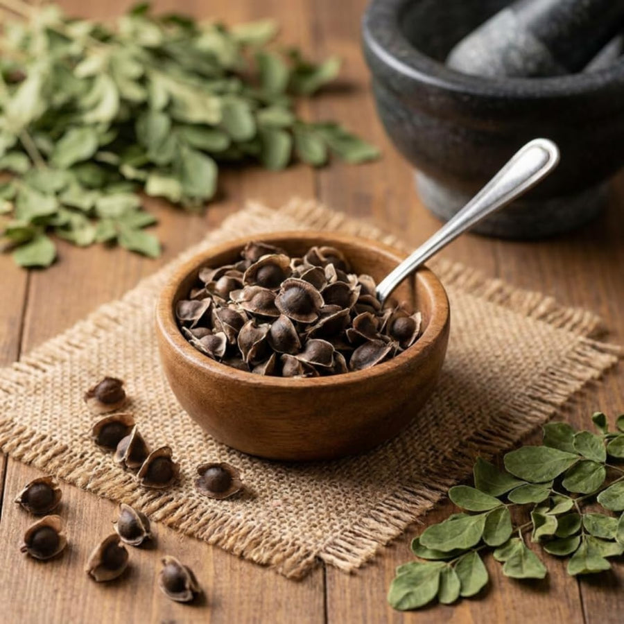 Set 35+ Moringa Oleifera Seeds for Planting, Moringa Seeds, Easy Care Tree, Ideal for Indoor Outdoor Gardening