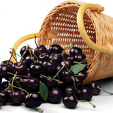 2 Black Cherry Trees Live Plants Bare Roots, Sweet Cherry Fruit Tree Plant for Gardening Outdoor, 1 to 1.5 FeetTall